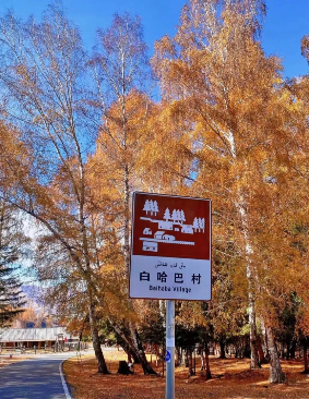 食在阿勒泰,三种不同的美食人生