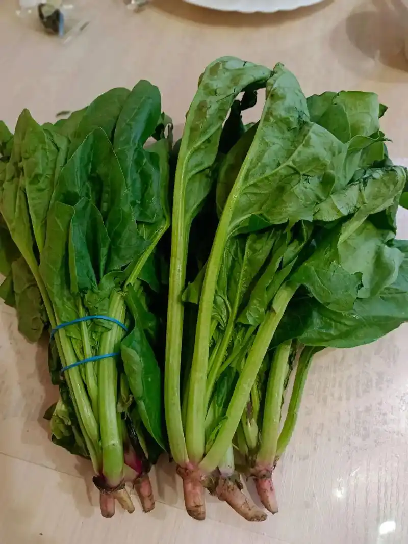 秋天,这菜要使劲吃!别错过!