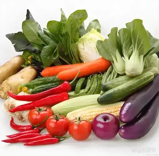 哈市绿色有机食品认证面积稳居副省级城市首位