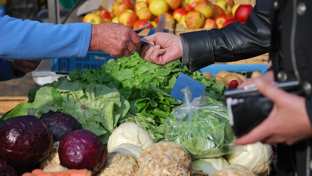 当餐食材供应商资质审核清单