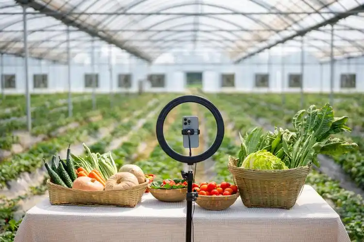 直播电商食品新规下，当餐团餐供应链如何合规经营？