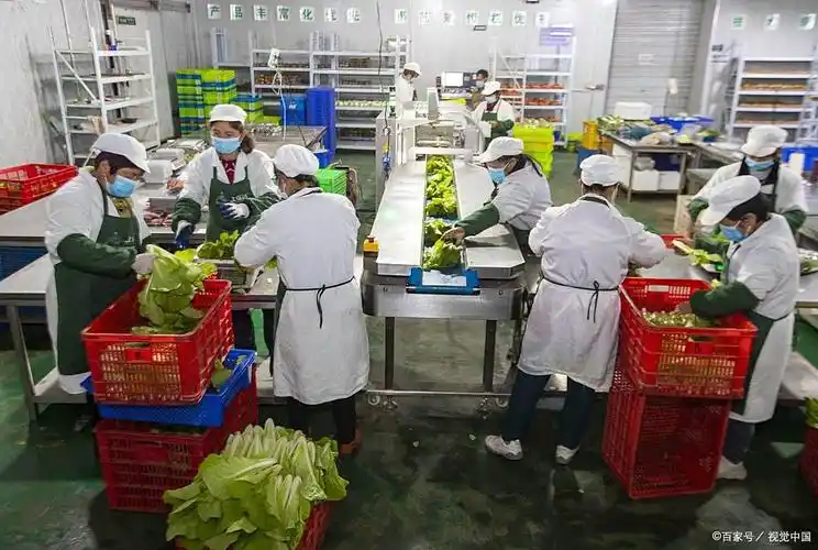 企业食堂采购成本高？当餐优选助你告别“跑冒滴漏”