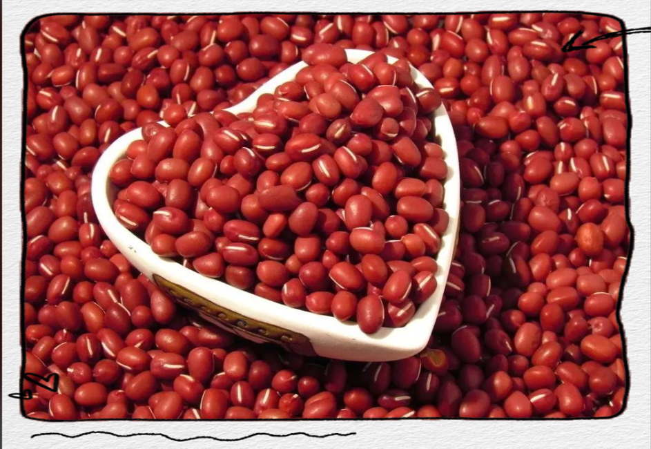 红豆又名相思豆