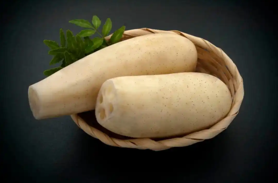 莲藕作为"水中人参"，是兼具食用价值和药用功效的神奇食材