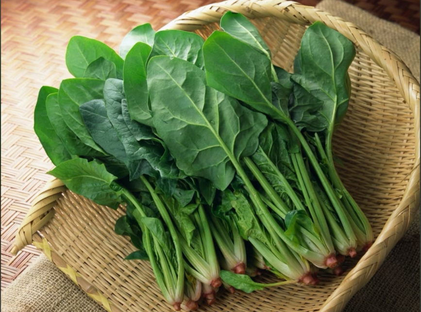 大力水手吃的菠菜，还有着营养作用