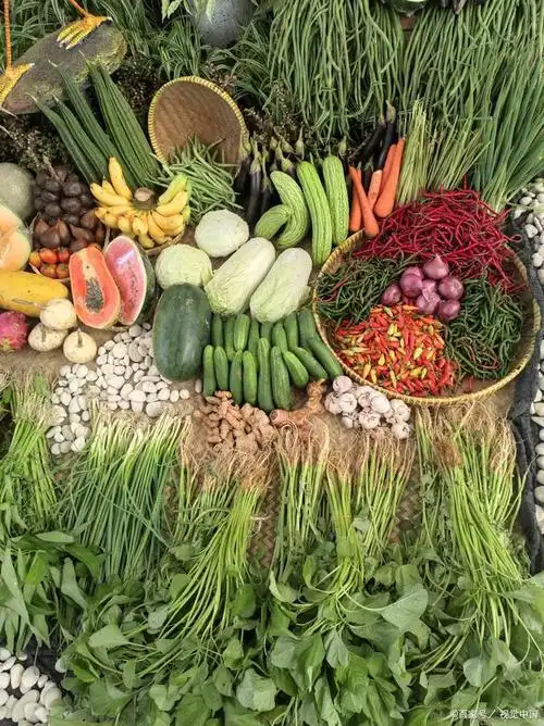 当餐农产品电商供应链协同研报