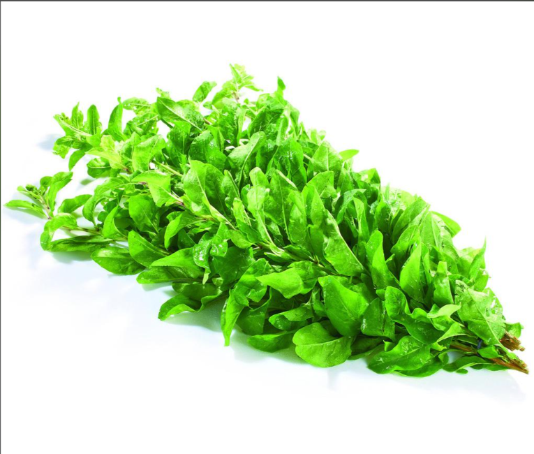 枸杞可以泡茶煮汤，枸杞叶还可以吃