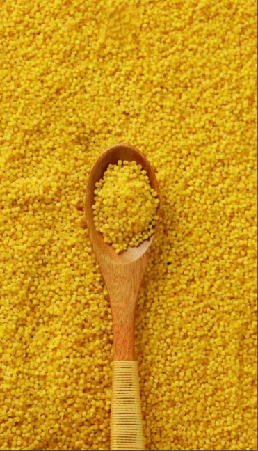 小米海参里面的小米原来作用这么大