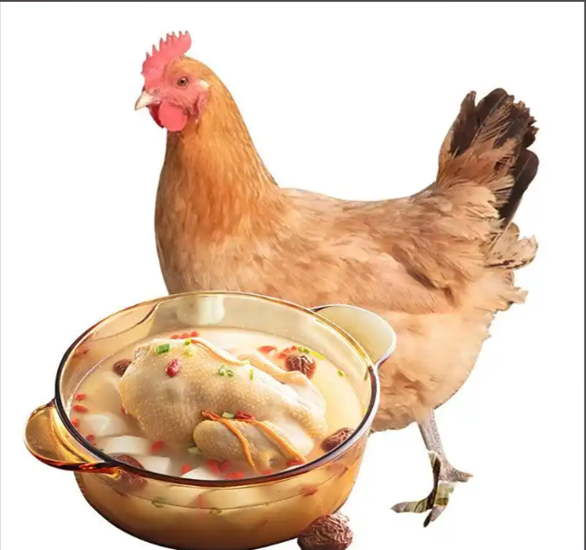 鸡肉对人体营养价值详解