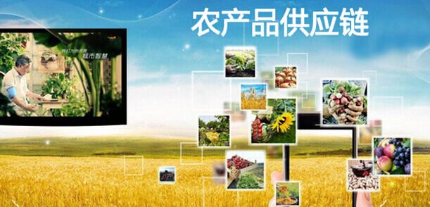 当餐优选2026农产品供应链研报