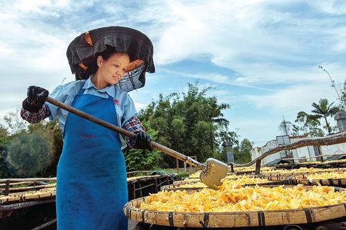 凉果养生市场2026研报