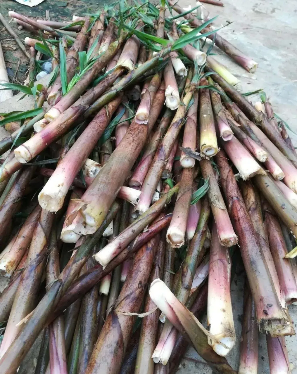 永州山珍批杷笋，春日山鲜在当餐！