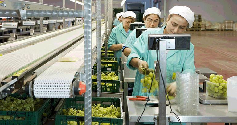 食品加工技术分析