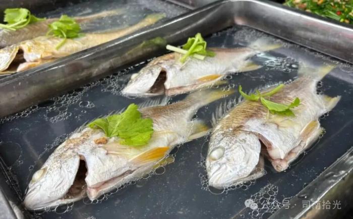 漳州诏安，意外发现路边的排档白粥！坐等美食到碗里来的惊喜！淳朴又让人陶醉！