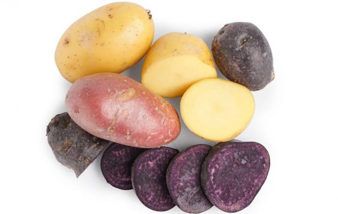 薯类，饮食界的低调“扛把子”，“薯”于你的养生妙方，千万别错过！