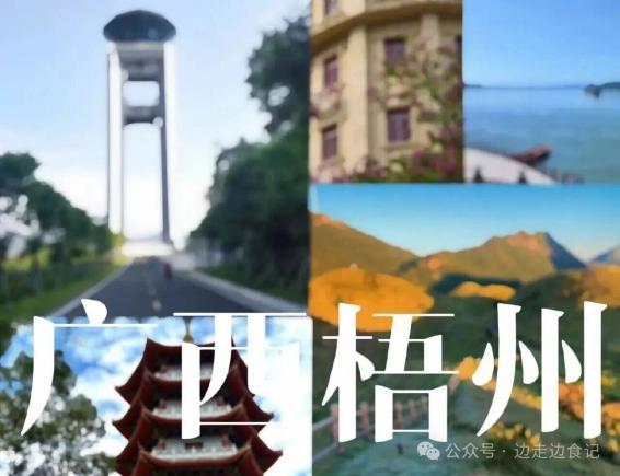 收藏！梧州必吃美食清单，本地人私藏不踩雷