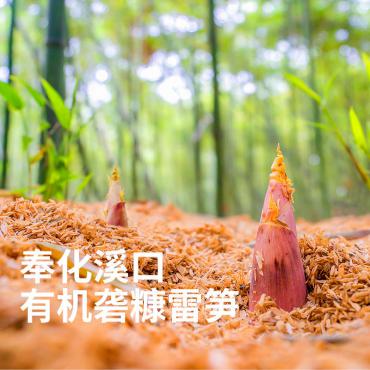 有机笋三产融合共筑食品行业新质生产力