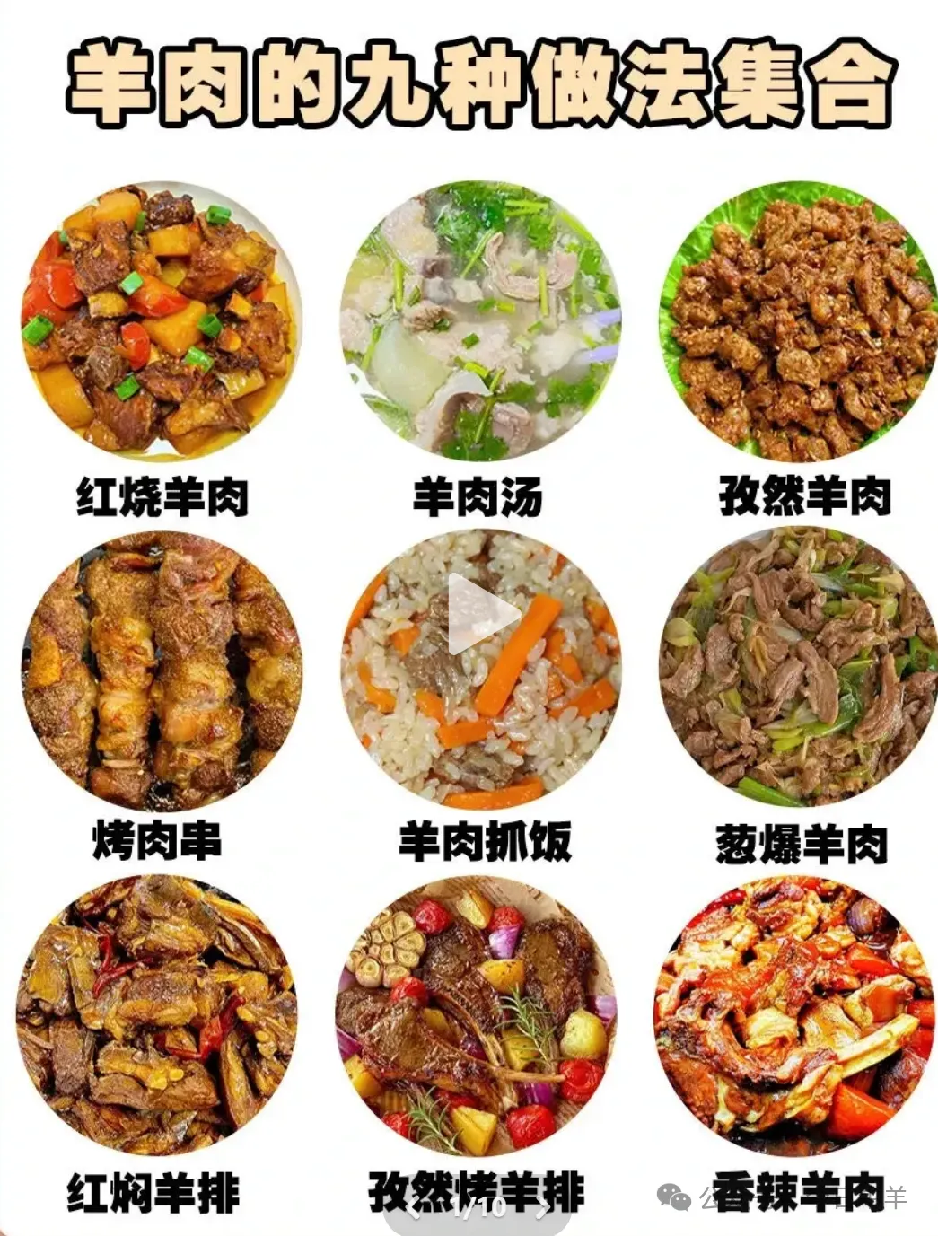 当餐君分享羊肉的美味食谱
