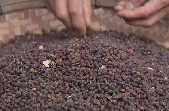 当餐调味料有趣又美味!藏在腾冲滇滩里的香果“臭油”