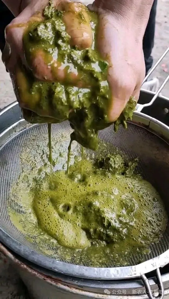 贵州特色美食“牛瘪火锅”