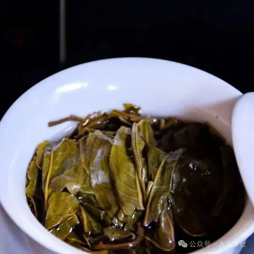 八角亭景迈山古树有机生茶品味时光与自然的馈赠