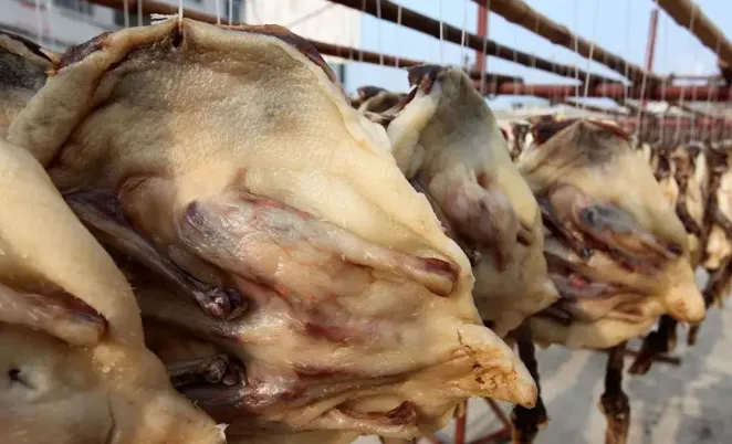 2025阜南县“庆国庆·迎中秋”惠民嘉年华特色美食免费派送