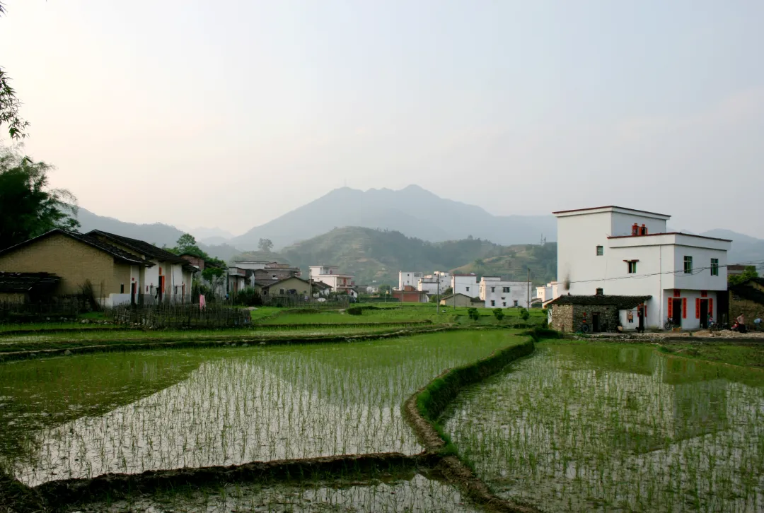 永宁美食品乡愁:深山里的时光滋味