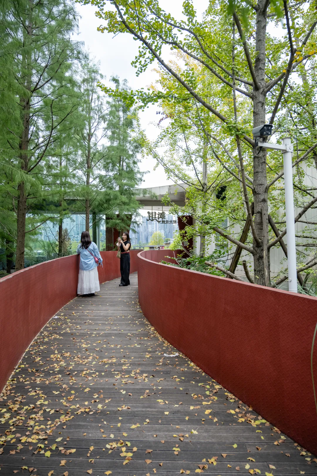 为吃一顿跑20公里,成都郊区这条美食街为啥火了?