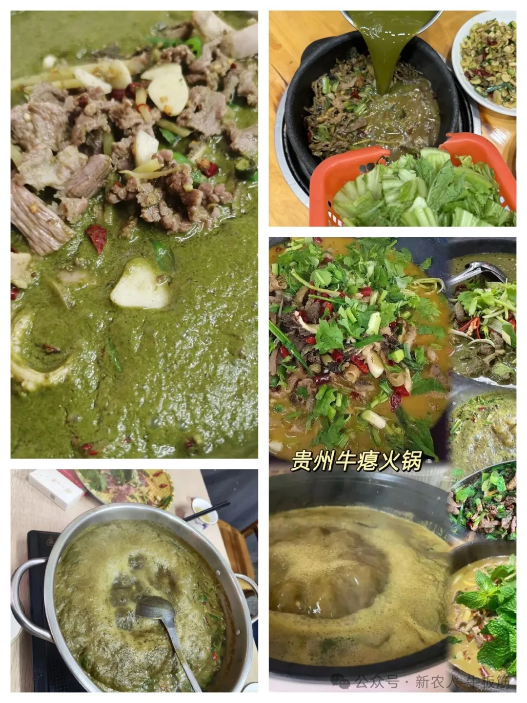 贵州特色美食“牛瘪火锅”