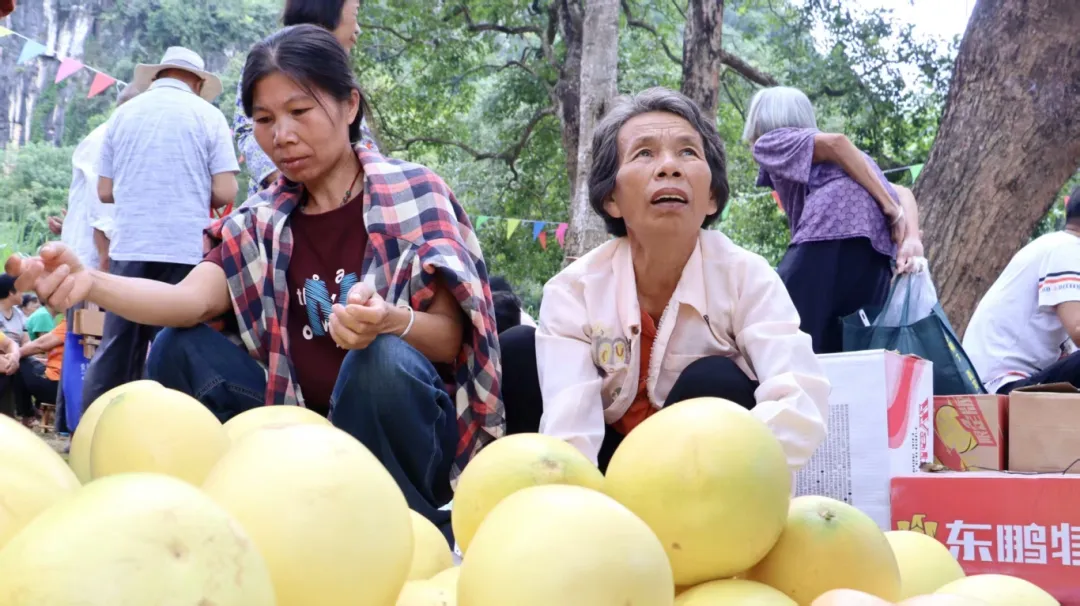 看演出、品美食、购特产……广西崇左的丰收节“丰”味十足