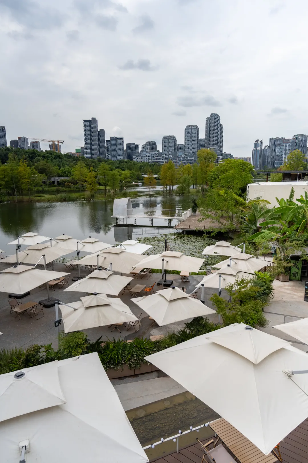 为吃一顿跑20公里,成都郊区这条美食街为啥火了?