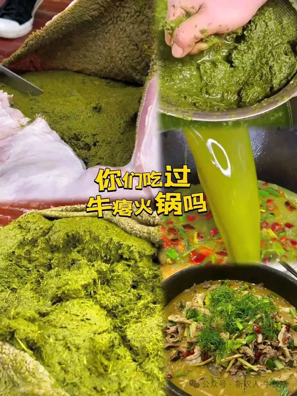 贵州特色美食“牛瘪火锅”