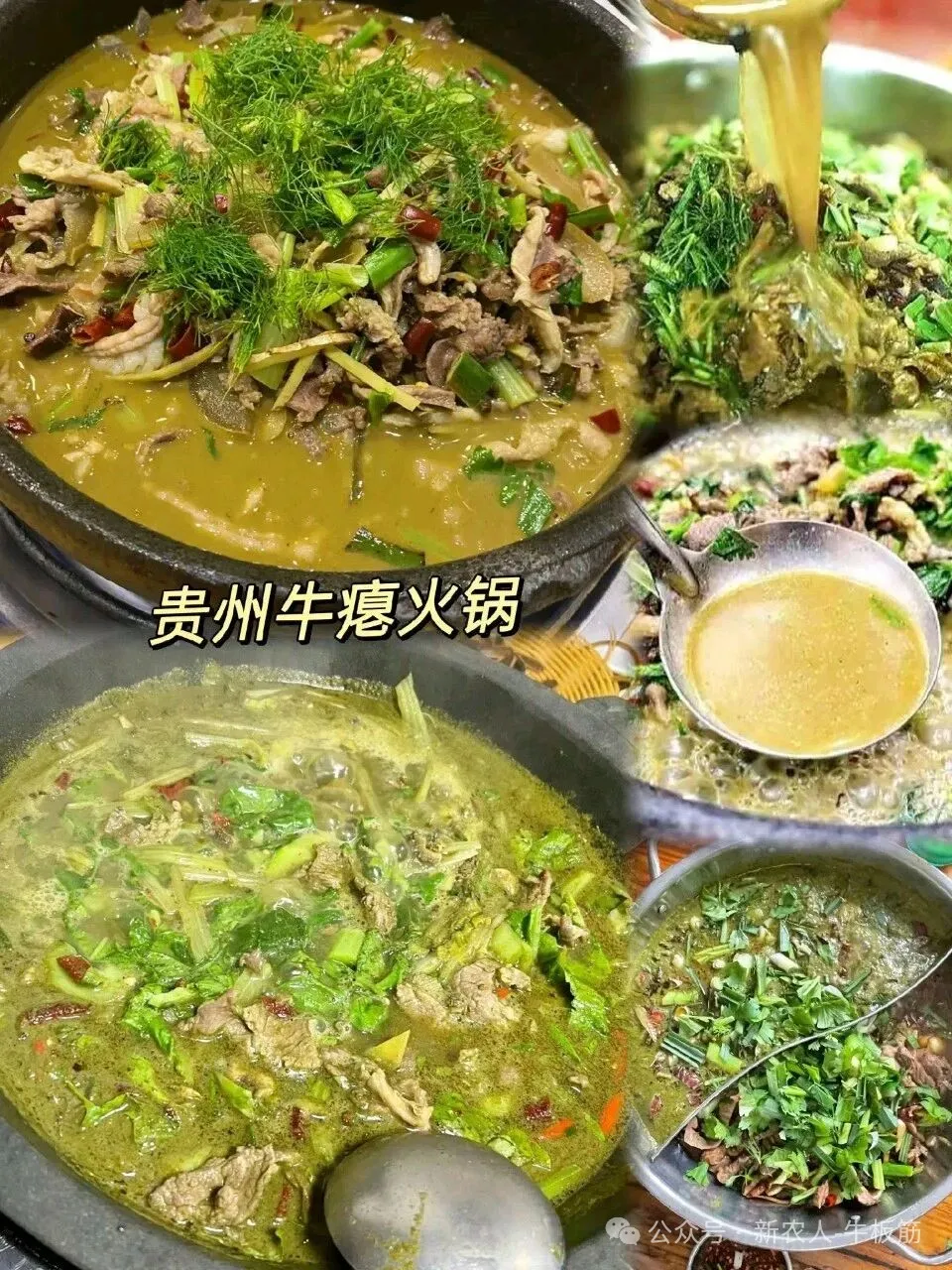 贵州特色美食“牛瘪火锅”