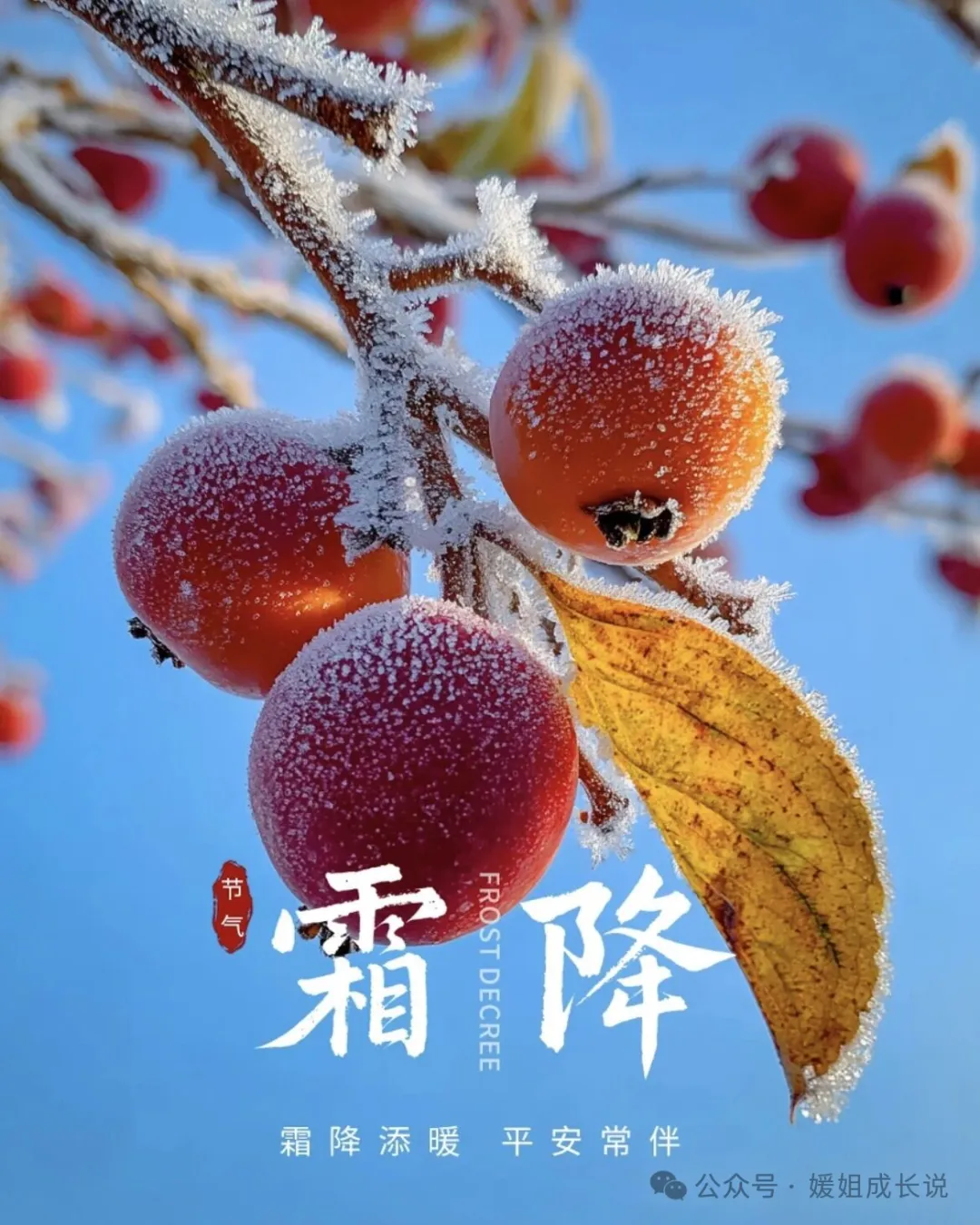 霜降后吃萝卜胃反酸?3种家常食材换着吃,护胃润燥过深秋