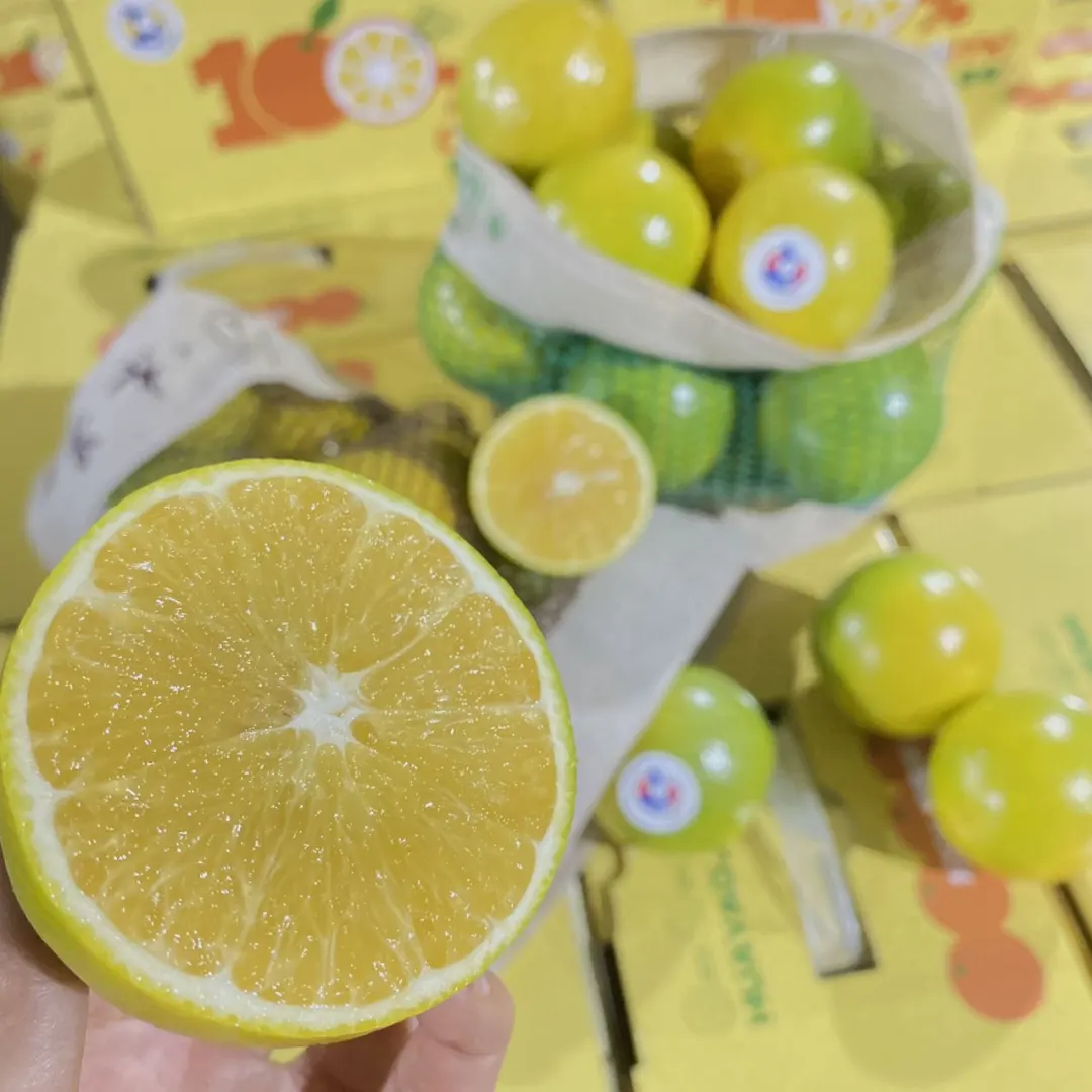 来自云南的高山冰糖橙,清香甘甜,水润爆汁,承包秋天的甜蜜