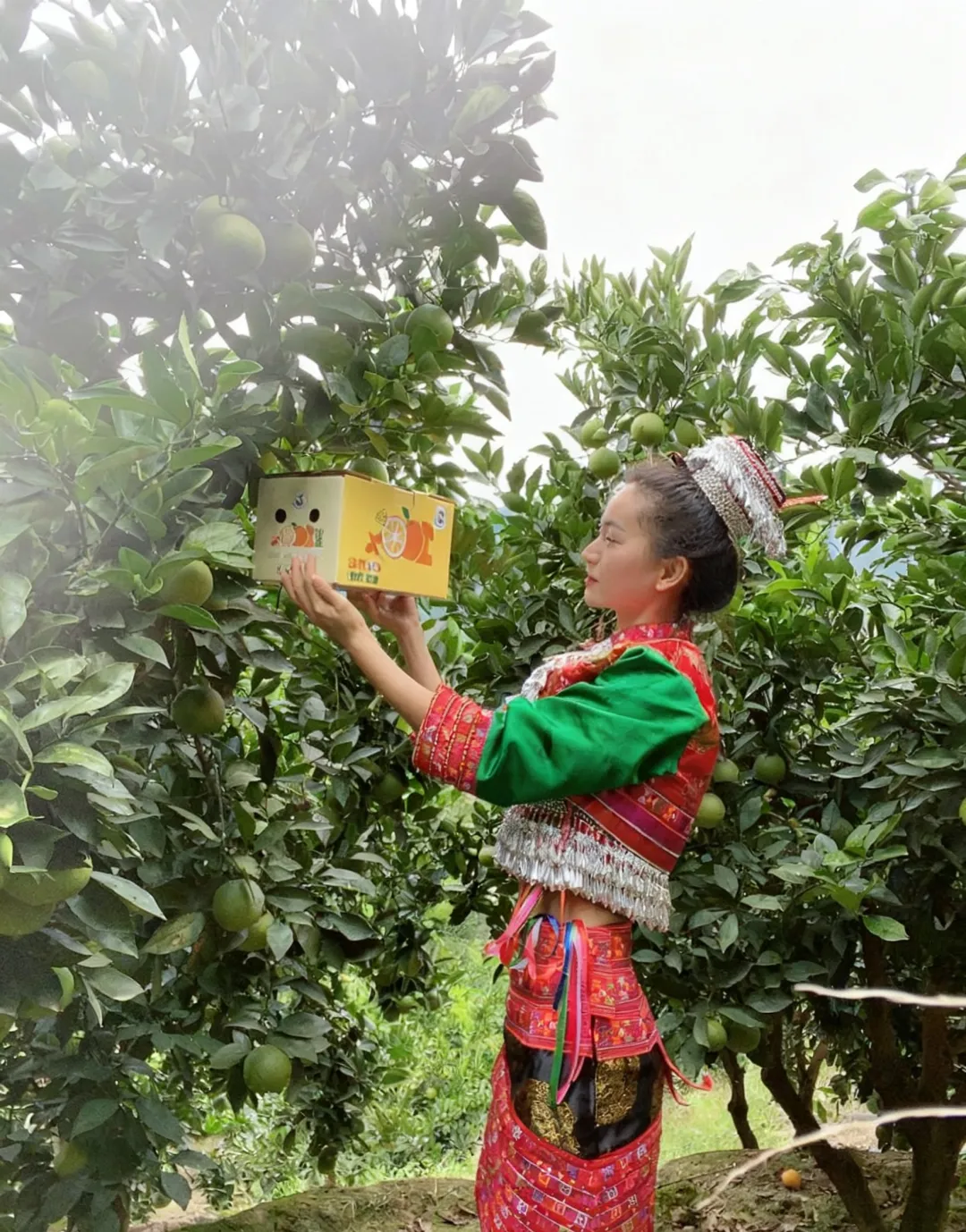 来自云南的高山冰糖橙,清香甘甜,水润爆汁,承包秋天的甜蜜