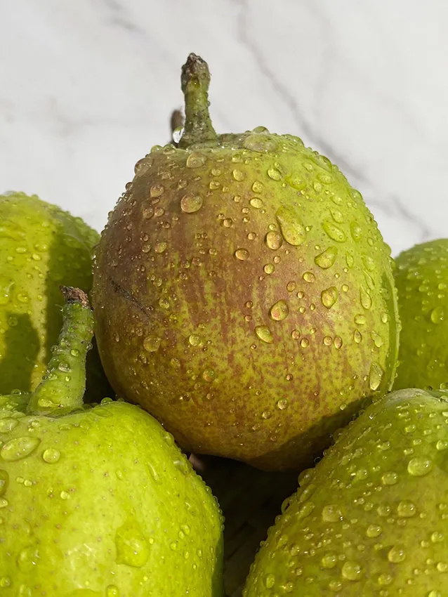 新疆库勒尔香梨来自核心产区孔雀河畔