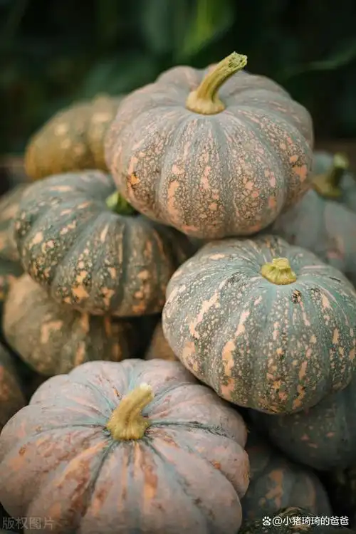 秋令蔬菜上市!十大当季蔬菜!营养健康!