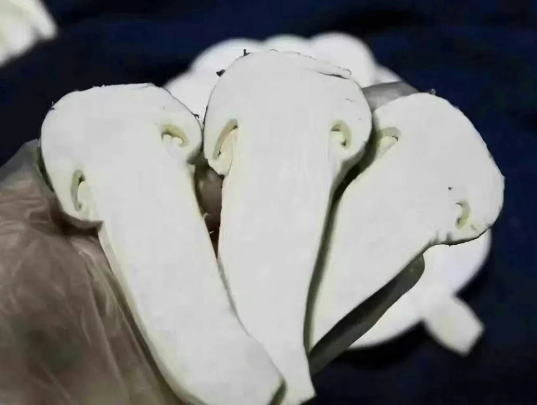 山珍王者的天花板吃法,你试过吗?黑松露×松茸,云南空运,极致体验