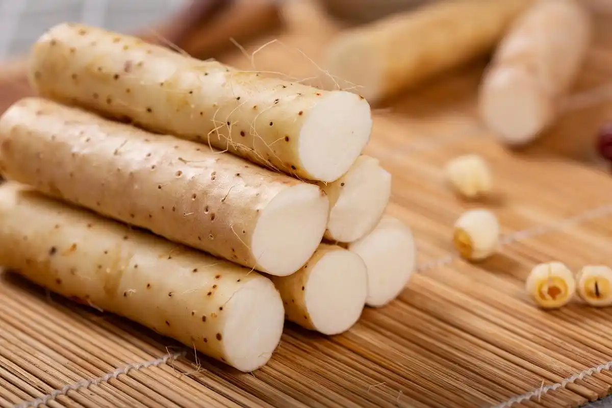 秋令蔬菜上市!十大当季蔬菜!营养健康!