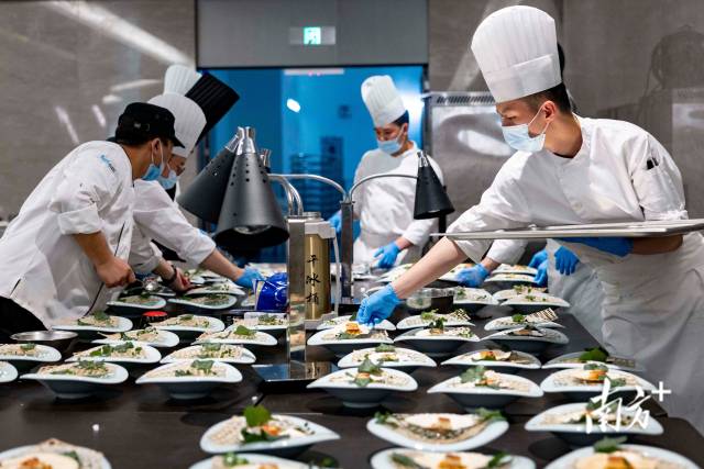 中国餐饮行业招聘、求职2025年10月18日信息发布