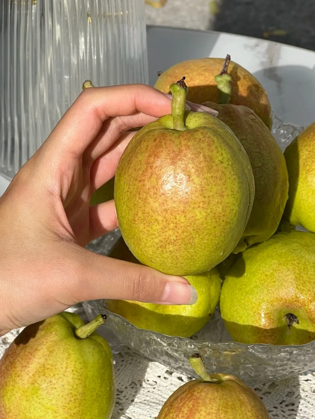 新疆库勒尔香梨来自核心产区孔雀河畔