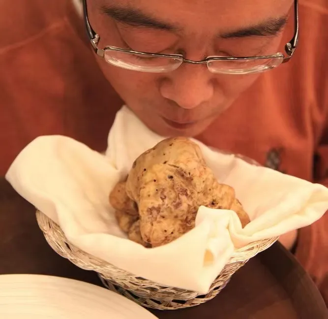 顶级奢侈食材黑松露