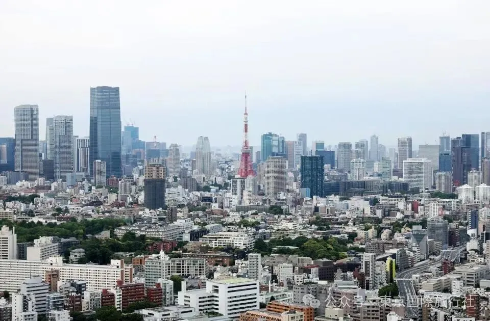 日本鸡蛋价格逼近历史最高值　变身“高级食材”