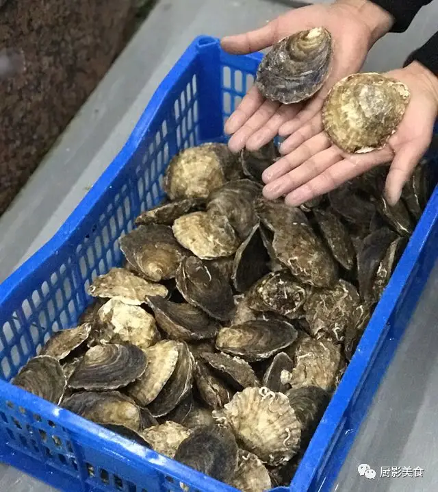 海鲜食材水产排行榜