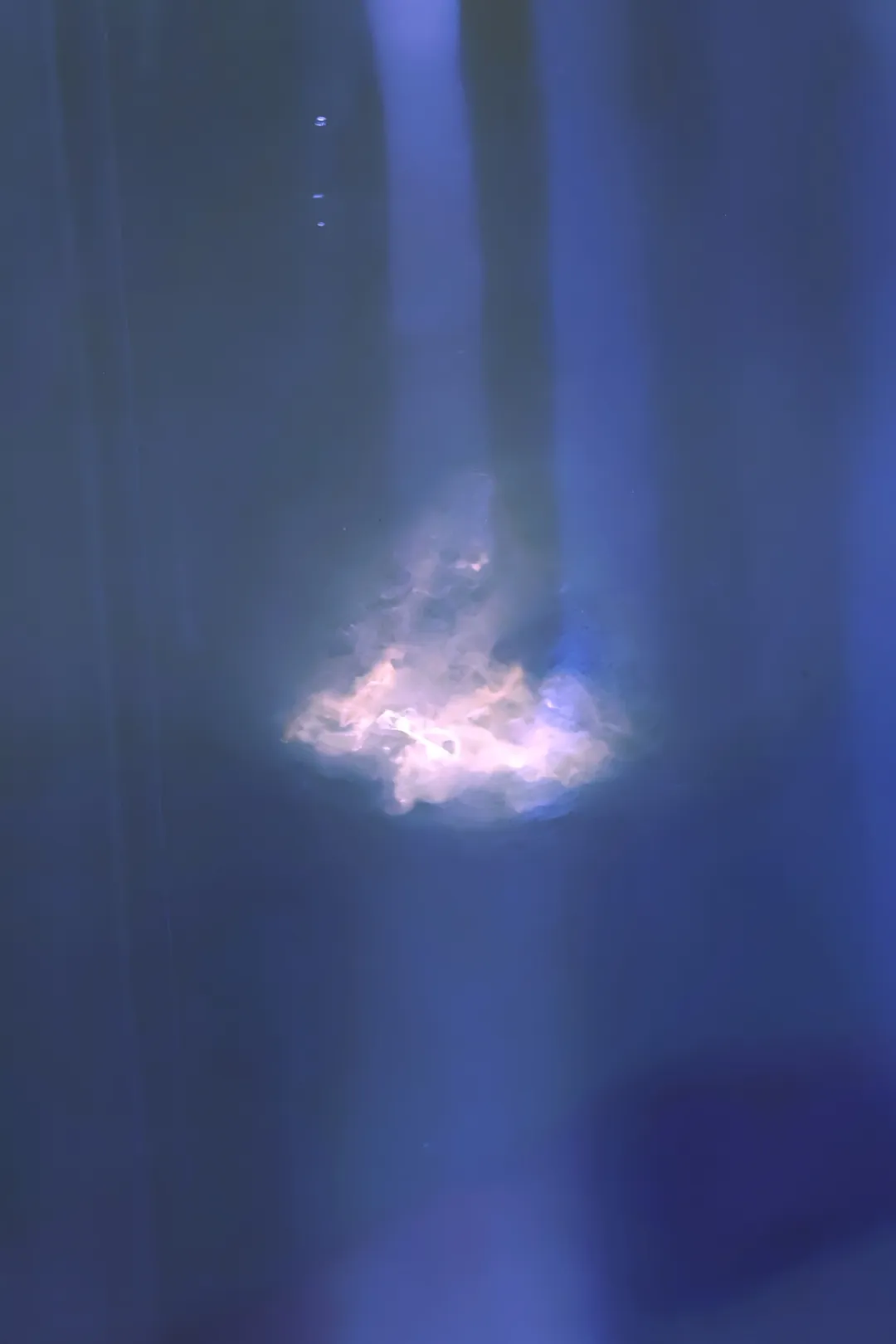 中国风味发酵美食十一等你来尝