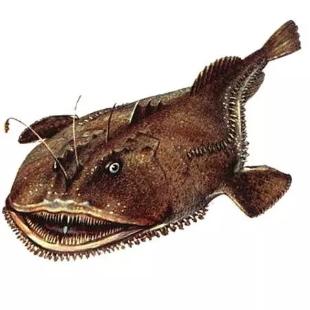 海鲜食材是最秋天的美食态度