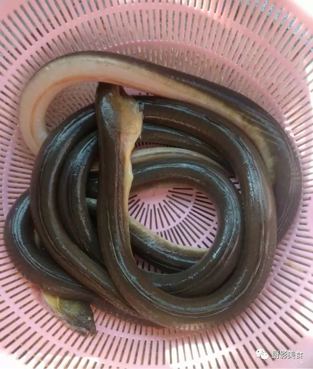 海鲜食材水产排行榜