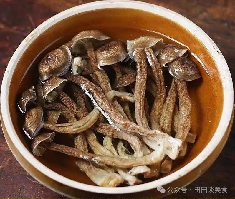 当餐推荐必买山珍干货,送礼自留哪款最划算?