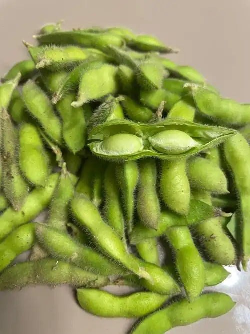 秋令蔬菜上市!十大当季蔬菜!营养健康!